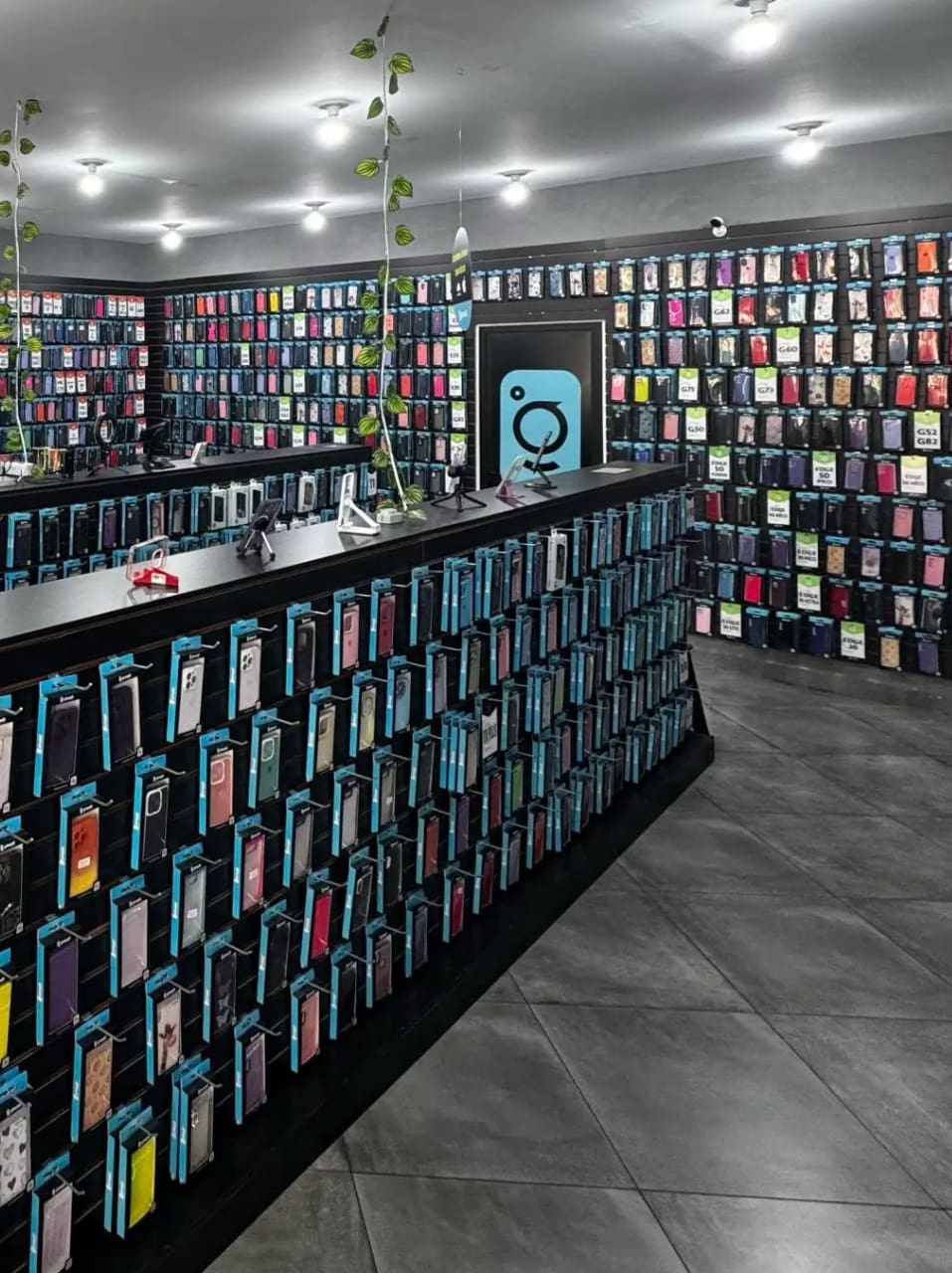 Balcão e parede de capinhas da Glocall Store em Barão Geraldo, Campinas